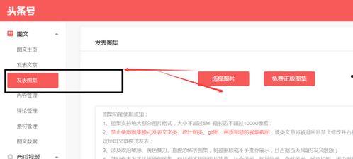 头条上怎样发照片视频,轻松掌握照片视频发布技巧