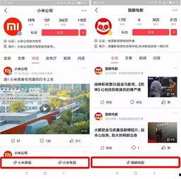 合山今日头条小程序,聚焦本地新鲜事，尽览合山风采瞬间